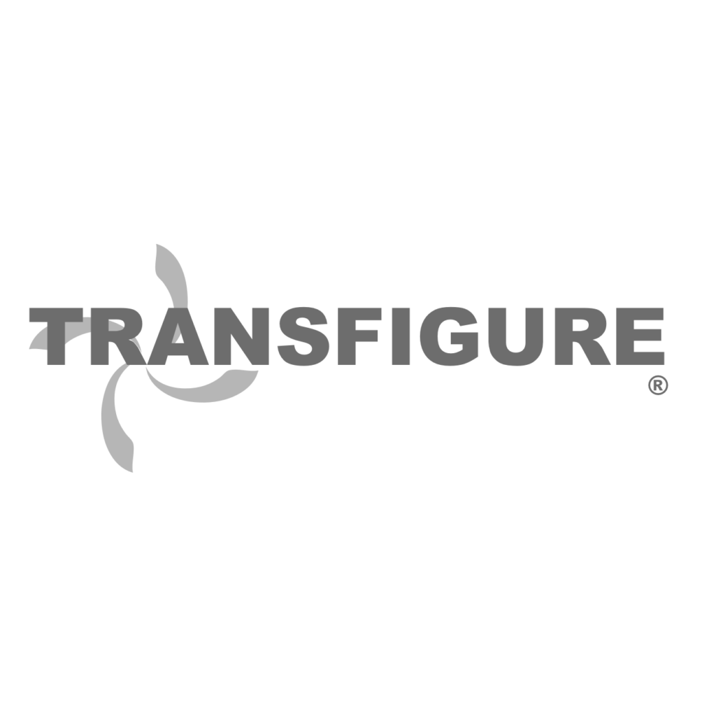 transfigure define